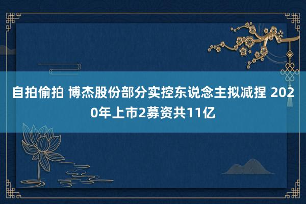 自拍偷拍 博杰股份部分实控东说念主拟减捏 2020年上市2募资共11亿