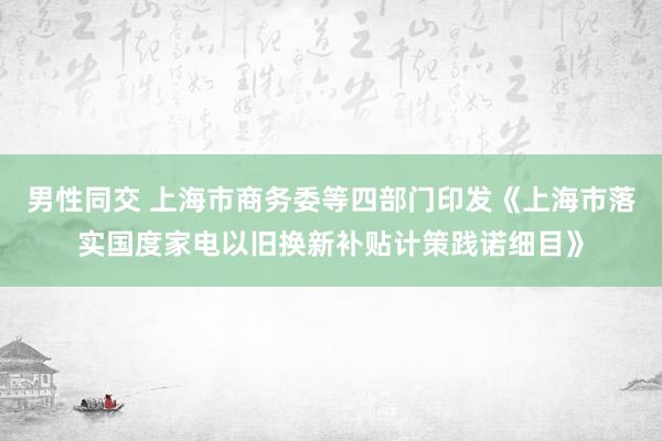 男性同交 上海市商务委等四部门印发《上海市落实国度家电以旧换新补贴计策践诺细目》