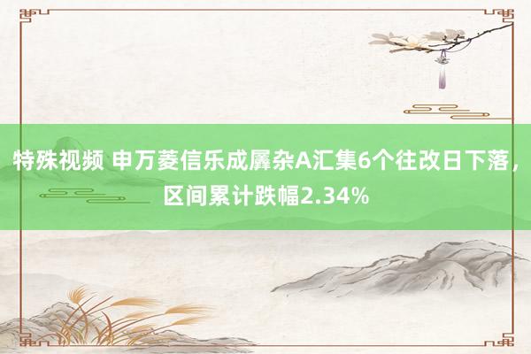 特殊视频 申万菱信乐成羼杂A汇集6个往改日下落，区间累计跌幅2.34%