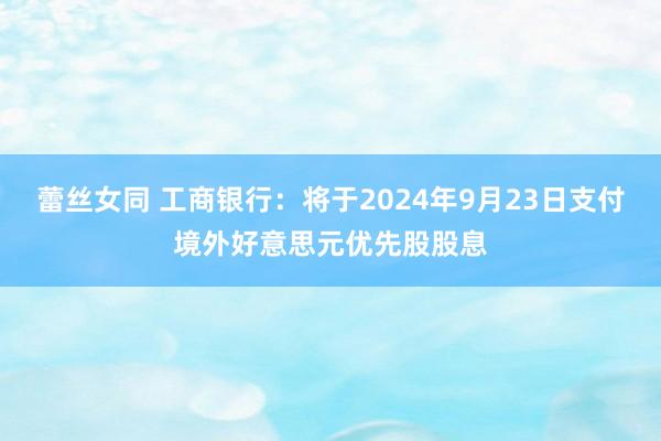 蕾丝女同 工商银行：将于2024年9月23日支付境外好意思元优先股股息