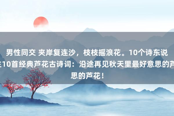 男性同交 夹岸复连沙，枝枝摇浪花。10个诗东说念主10首经典芦花古诗词：沿途再见秋天里最好意思的芦花！