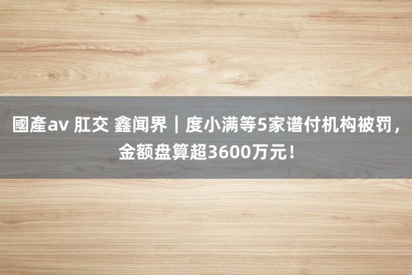 國產av 肛交 鑫闻界｜度小满等5家谱付机构被罚，金额盘算超3600万元！