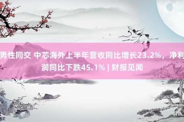 男性同交 中芯海外上半年营收同比增长23.2%，净利润同比下跌45.1% | 财报见闻