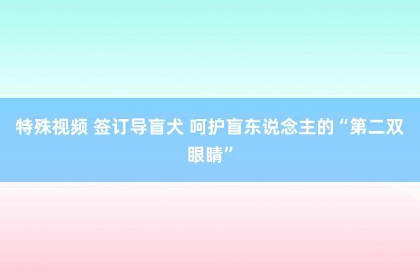 特殊视频 签订导盲犬 呵护盲东说念主的“第二双眼睛”