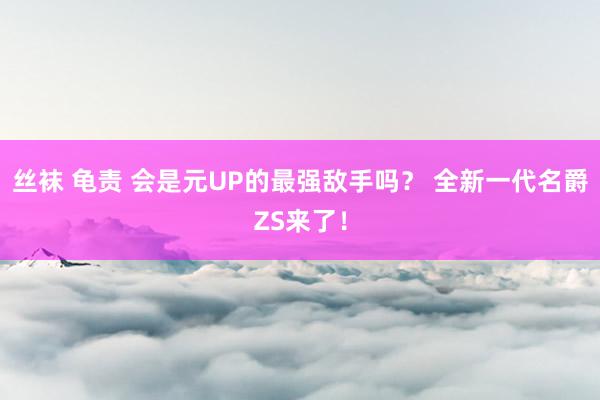 丝袜 龟责 会是元UP的最强敌手吗？ 全新一代名爵ZS来了！