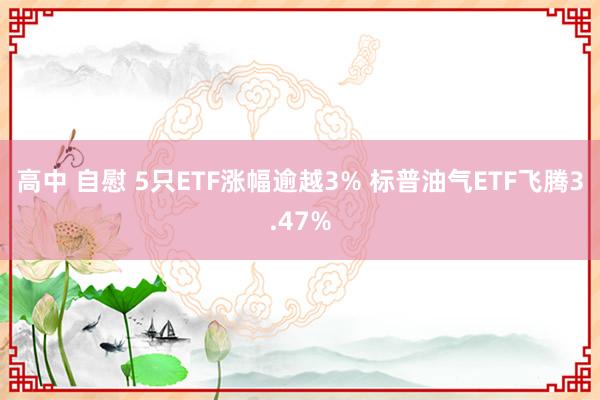 高中 自慰 5只ETF涨幅逾越3% 标普油气ETF飞腾3.47%