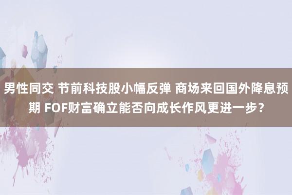 男性同交 节前科技股小幅反弹 商场来回国外降息预期 FOF财富确立能否向成长作风更进一步？