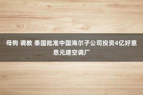 母狗 调教 泰国批准中国海尔子公司投资4亿好意思元建空调厂