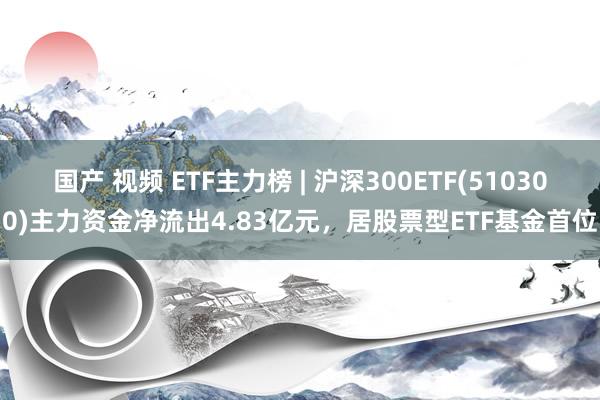 国产 视频 ETF主力榜 | 沪深300ETF(510300)主力资金净流出4.83亿元，居股票型ETF基金首位