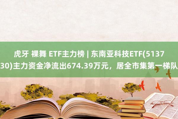 虎牙 裸舞 ETF主力榜 | 东南亚科技ETF(513730)主力资金净流出674.39万元，居全市集第一梯队