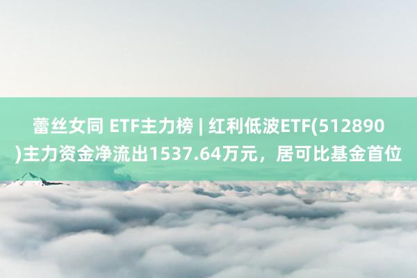 蕾丝女同 ETF主力榜 | 红利低波ETF(512890)主力资金净流出1537.64万元，居可比基金首位