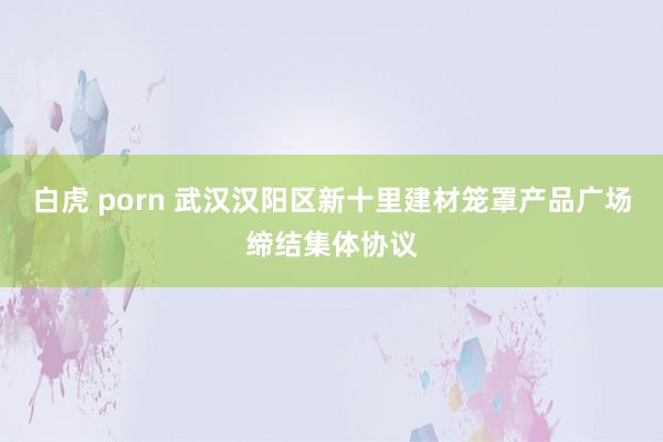 白虎 porn 武汉汉阳区新十里建材笼罩产品广场缔结集体协议