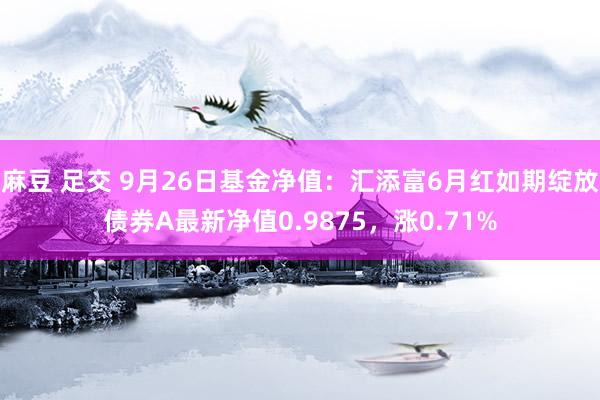 麻豆 足交 9月26日基金净值：汇添富6月红如期绽放债券A最新净值0.9875，涨0.71%