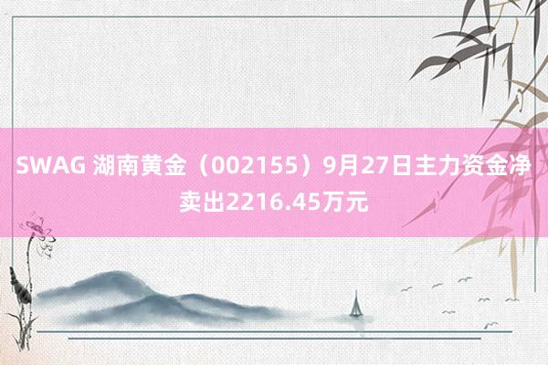 SWAG 湖南黄金（002155）9月27日主力资金净卖出2216.45万元