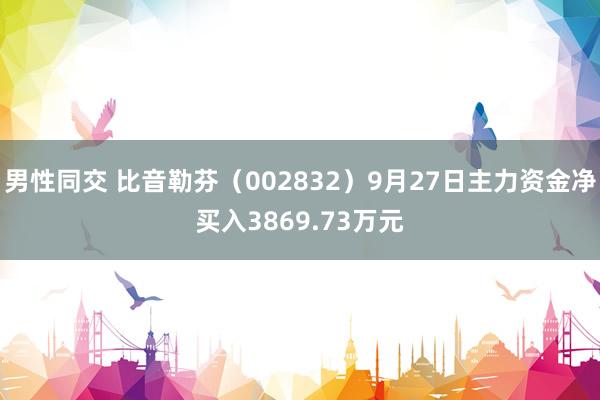 男性同交 比音勒芬（002832）9月27日主力资金净买入3869.73万元