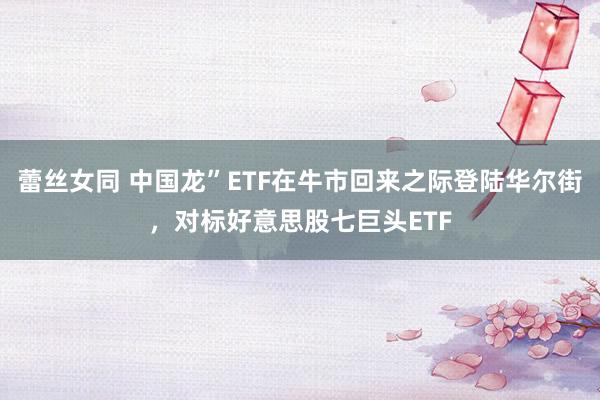 蕾丝女同 中国龙”ETF在牛市回来之际登陆华尔街，对标好意思股七巨头ETF