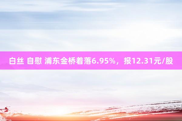 白丝 自慰 浦东金桥着落6.95%，报12.31元/股