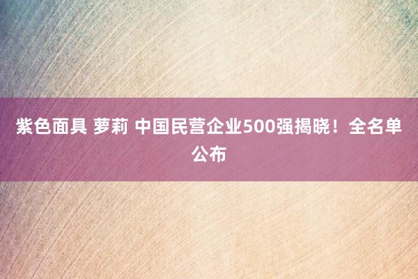 紫色面具 萝莉 中国民营企业500强揭晓！全名单公布