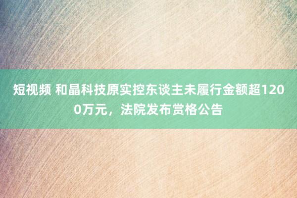 短视频 和晶科技原实控东谈主未履行金额超1200万元，法院发布赏格公告