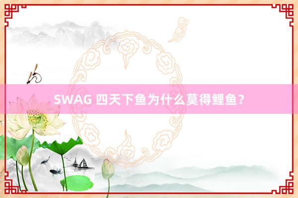 SWAG 四天下鱼为什么莫得鲤鱼？