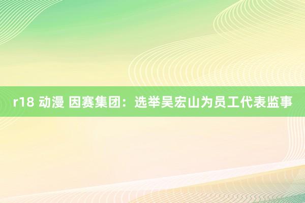 r18 动漫 因赛集团：选举吴宏山为员工代表监事