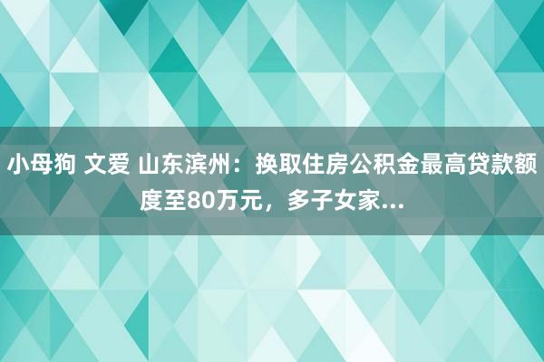 小母狗 文爱 山东滨州：换取住房公积金最高贷款额度至80万元，多子女家...