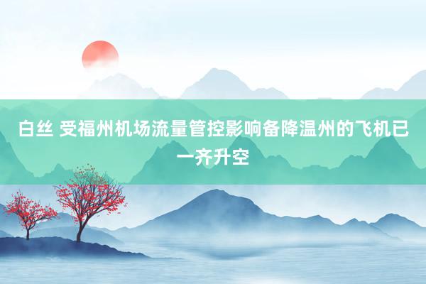 白丝 受福州机场流量管控影响备降温州的飞机已一齐升空