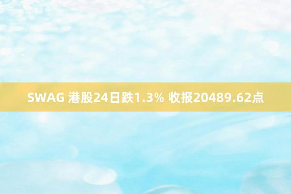 SWAG 港股24日跌1.3% 收报20489.62点