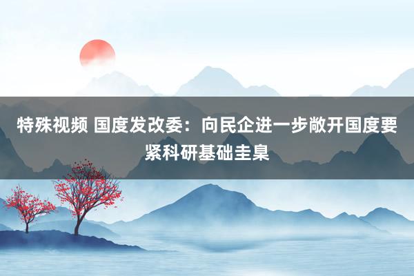 特殊视频 国度发改委：向民企进一步敞开国度要紧科研基础圭臬