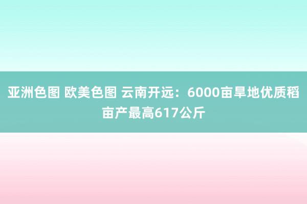 亚洲色图 欧美色图 云南开远：6000亩旱地优质稻亩产最高617公斤