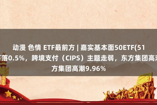 动漫 色情 ETF最前方 | 嘉实基本面50ETF(512750)下落0.5%，跨境支付（CIPS）主题走弱，东方集团高潮9.96%