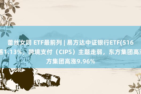 蕾丝女同 ETF最前列 | 易方达中证银行ETF(516310)下落1.13%，跨境支付（CIPS）主题走弱，东方集团高涨9.96%