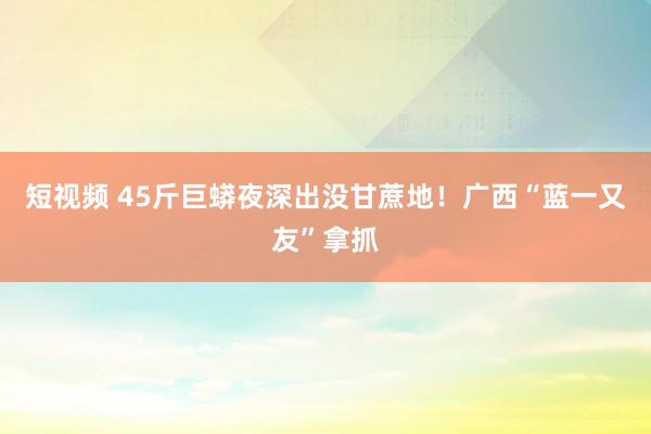 短视频 45斤巨蟒夜深出没甘蔗地！广西“蓝一又友”拿抓