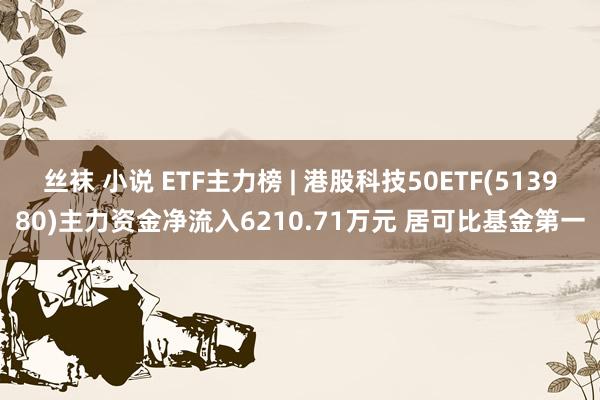 丝袜 小说 ETF主力榜 | 港股科技50ETF(513980)主力资金净流入6210.71万元 居可比基金第一