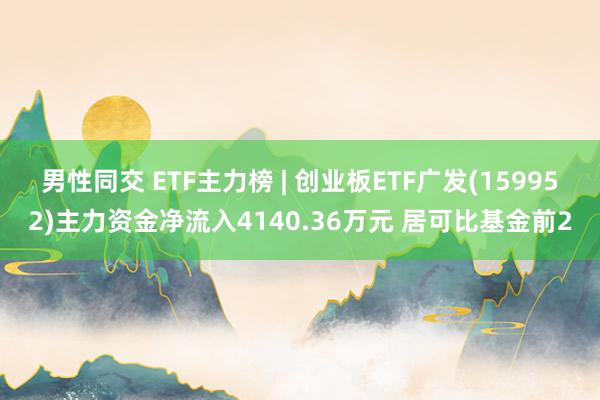 男性同交 ETF主力榜 | 创业板ETF广发(159952)主力资金净流入4140.36万元 居可比基金前2