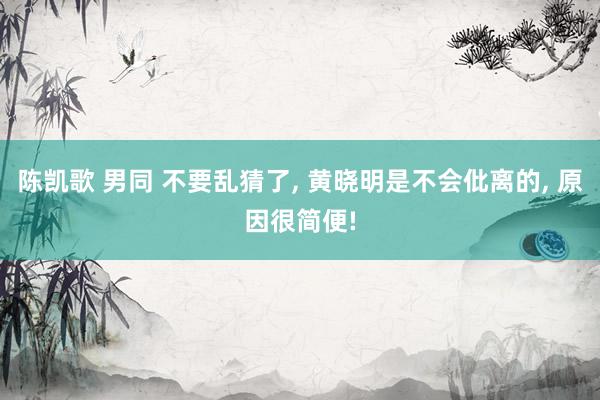 陈凯歌 男同 不要乱猜了， 黄晓明是不会仳离的， 原因很简便!