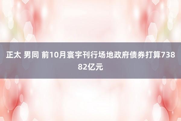 正太 男同 前10月寰宇刊行场地政府债券打算73882亿元