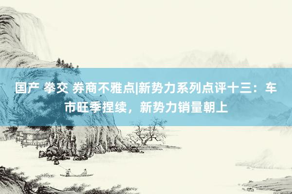 国产 拳交 券商不雅点|新势力系列点评十三：车市旺季捏续，新势力销量朝上