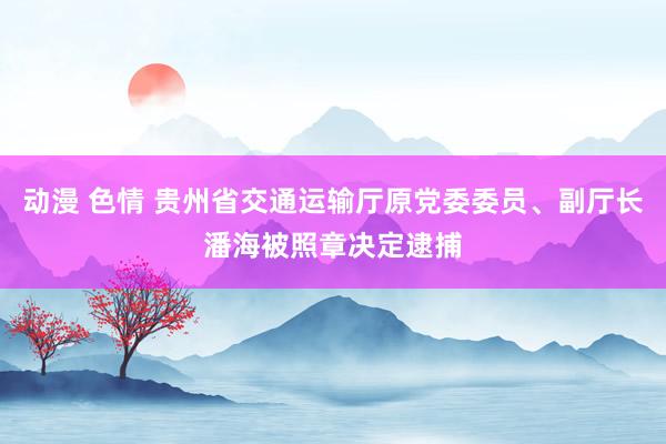 动漫 色情 贵州省交通运输厅原党委委员、副厅长潘海被照章决定逮捕