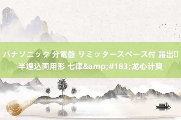 パナソニック 分電盤 リミッタースペース付 露出・半埋込両用形 七律&#183;龙心计爽