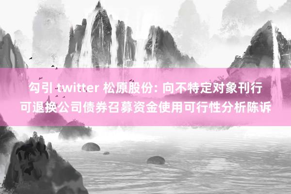 勾引 twitter 松原股份: 向不特定对象刊行可退换公司债券召募资金使用可行性分析陈诉