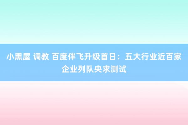 小黑屋 调教 百度伴飞升级首日：五大行业近百家企业列队央求测试