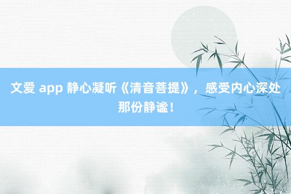 文爱 app 静心凝听《清音菩提》，感受内心深处那份静谧！