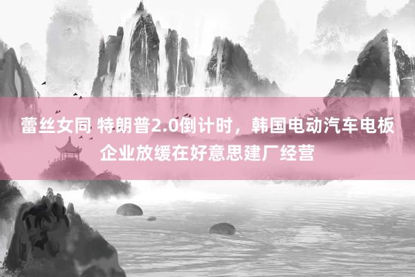 蕾丝女同 特朗普2.0倒计时，韩国电动汽车电板企业放缓在好意思建厂经营