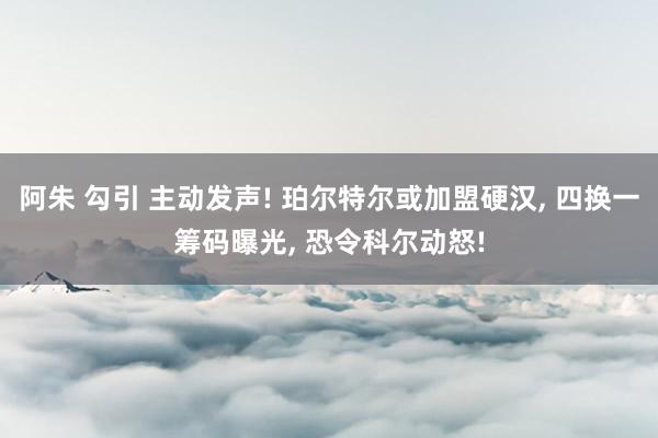 阿朱 勾引 主动发声! 珀尔特尔或加盟硬汉， 四换一筹码曝光， 恐令科尔动怒!