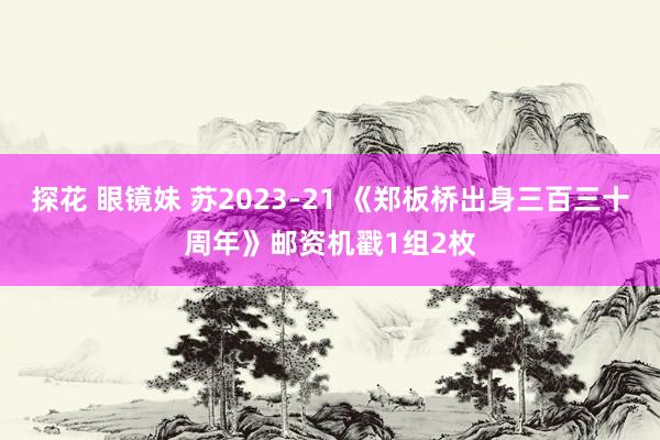 探花 眼镜妹 苏2023-21 《郑板桥出身三百三十周年》邮资机戳1组2枚