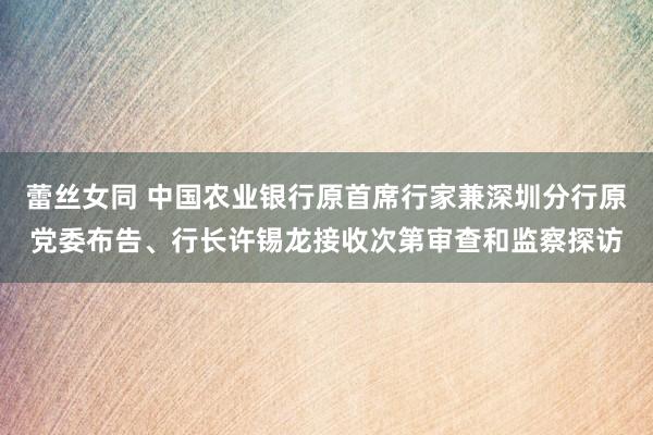 蕾丝女同 中国农业银行原首席行家兼深圳分行原党委布告、行长许锡龙接收次第审查和监察探访