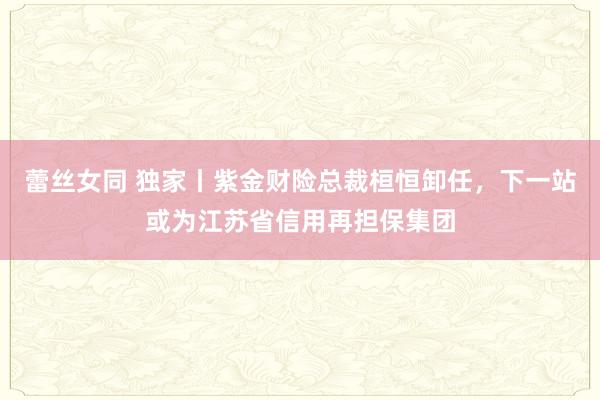 蕾丝女同 独家丨紫金财险总裁桓恒卸任，下一站或为江苏省信用再担保集团