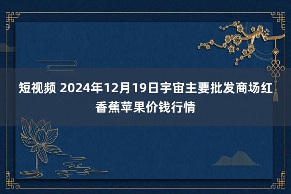 短视频 2024年12月19日宇宙主要批发商场红香蕉苹果价钱行情