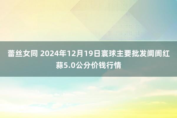 蕾丝女同 2024年12月19日寰球主要批发阛阓红蒜5.0公分价钱行情